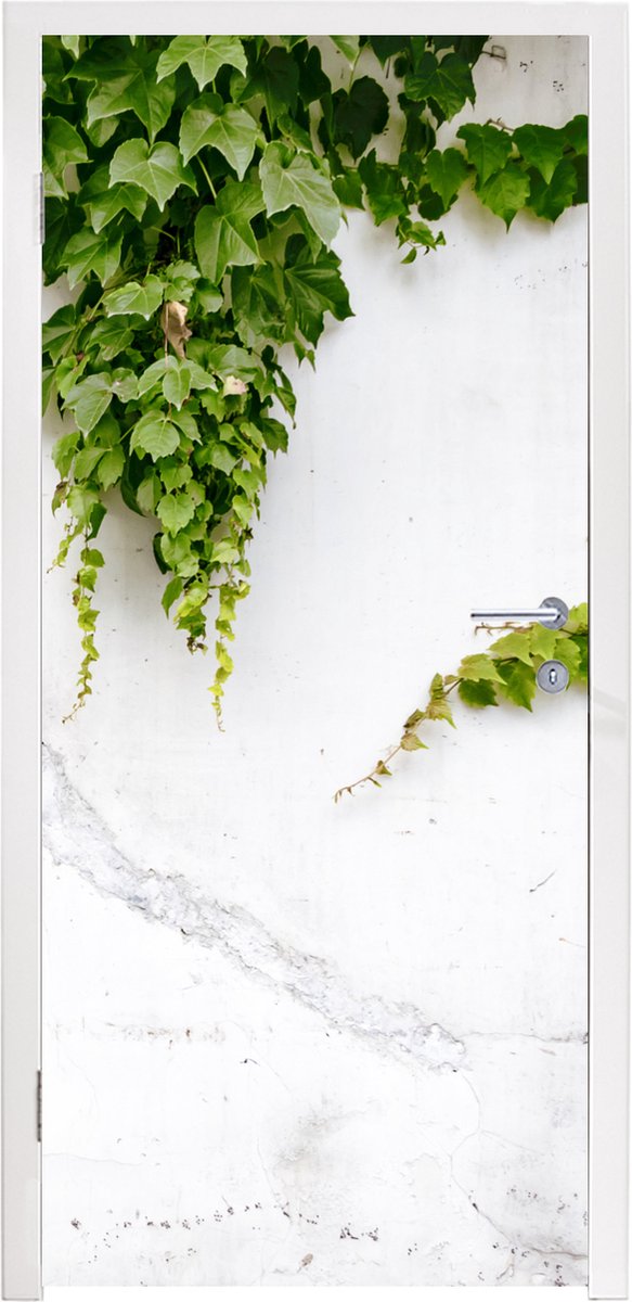 Afbeelding van product StickerSnake  Deursticker Klimplant op een witte muur - 80x205 cm - Deurposter