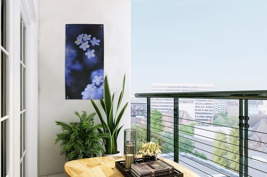 Affiche de jardin Gros plan d'un myosotis - 30x60 cm