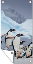 Tuinposter Pinguïns springen uit het water - 40x80 cm - Wanddecoratie Buiten - Tuinposter - Tuindoek - Schuttingposter - Tuinschilderij