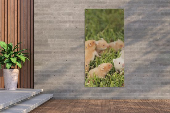 Décoration murale d'extérieur Hamster doré avec garçon - 80x160 cm - Toile de jardin - Poster extérieur