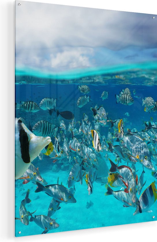 Artaza Glasschilderij - Zwerm Gele Vissen in het Water - 60x80 - Plexiglas Schilderij - Foto op Glas