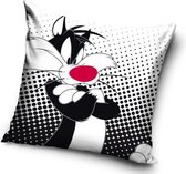 Looney Tunes Sierkussens - Kussen - 40 x 40 inclusief vulling - Kussen van Polyester