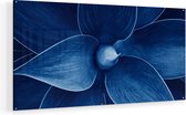 Artaza Glasschilderij - Blauwe Agave Plant - Bloem - 140x70 - Groot - Plexiglas Schilderij - Foto op Glas