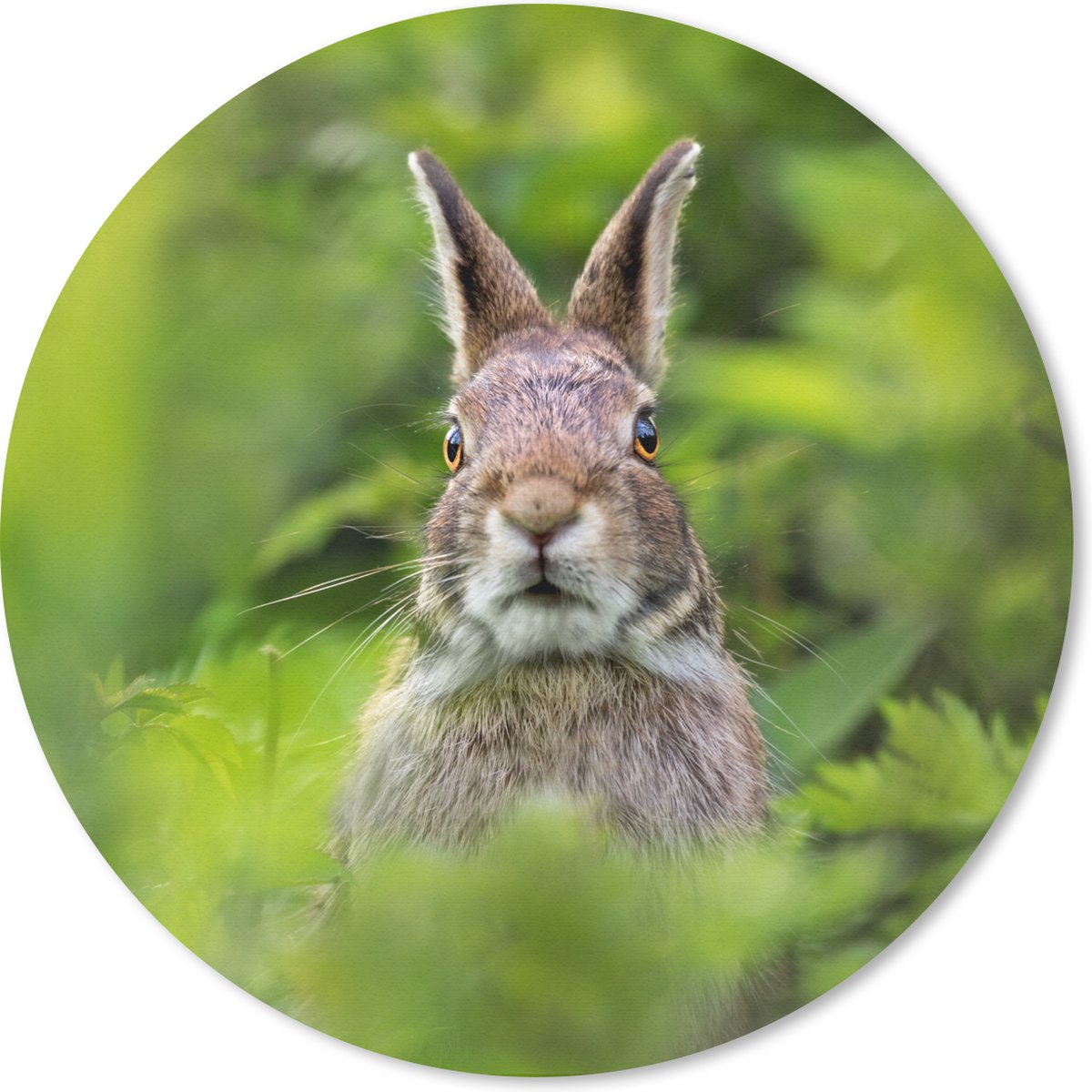 Muismat rond 50x50 cm - Mousepad Konijn - Gras - Groen - Ronde muismatten
