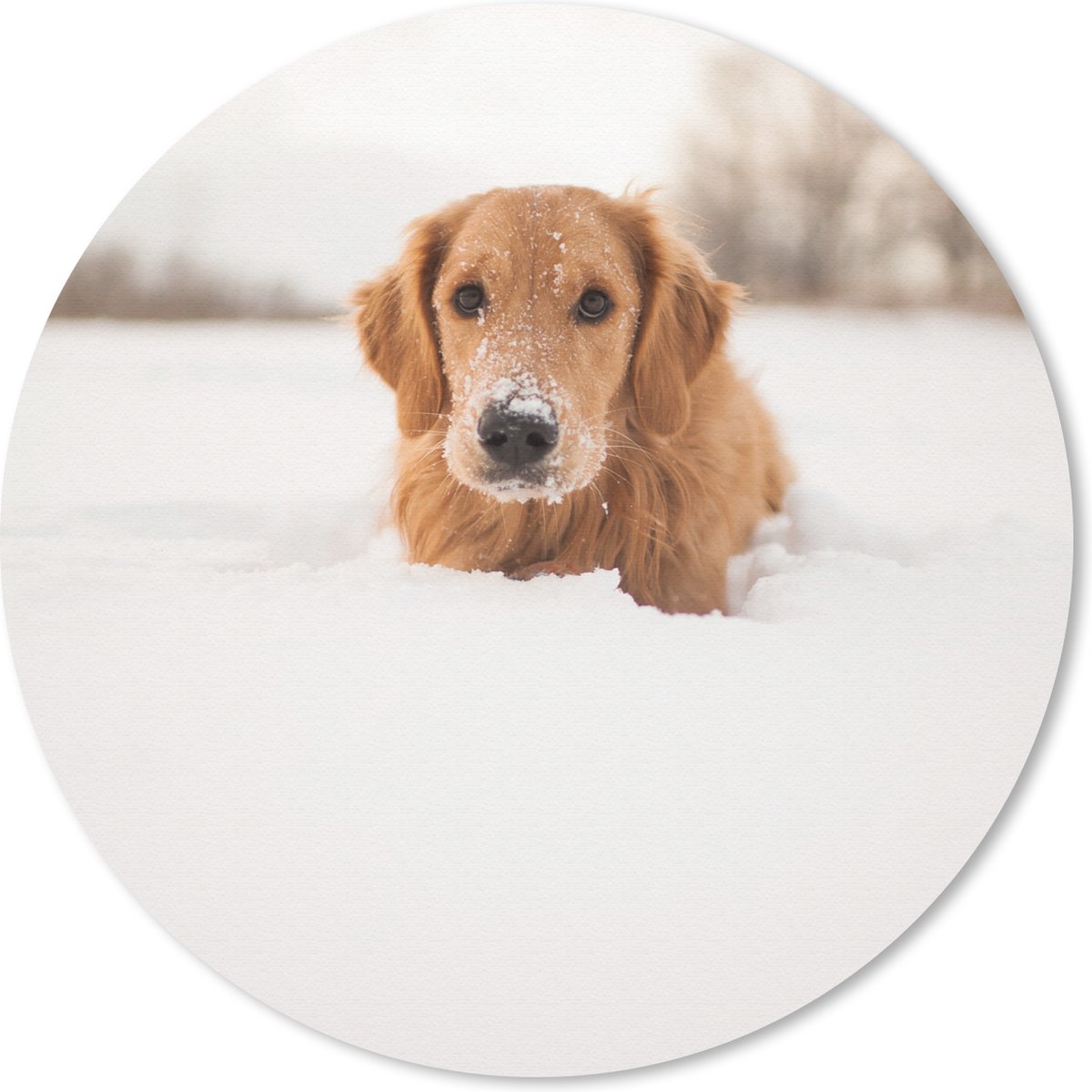 Muismat rond 30x30 cm - Mousepad Hond - Sneeuw - Winter - Ronde muismatten