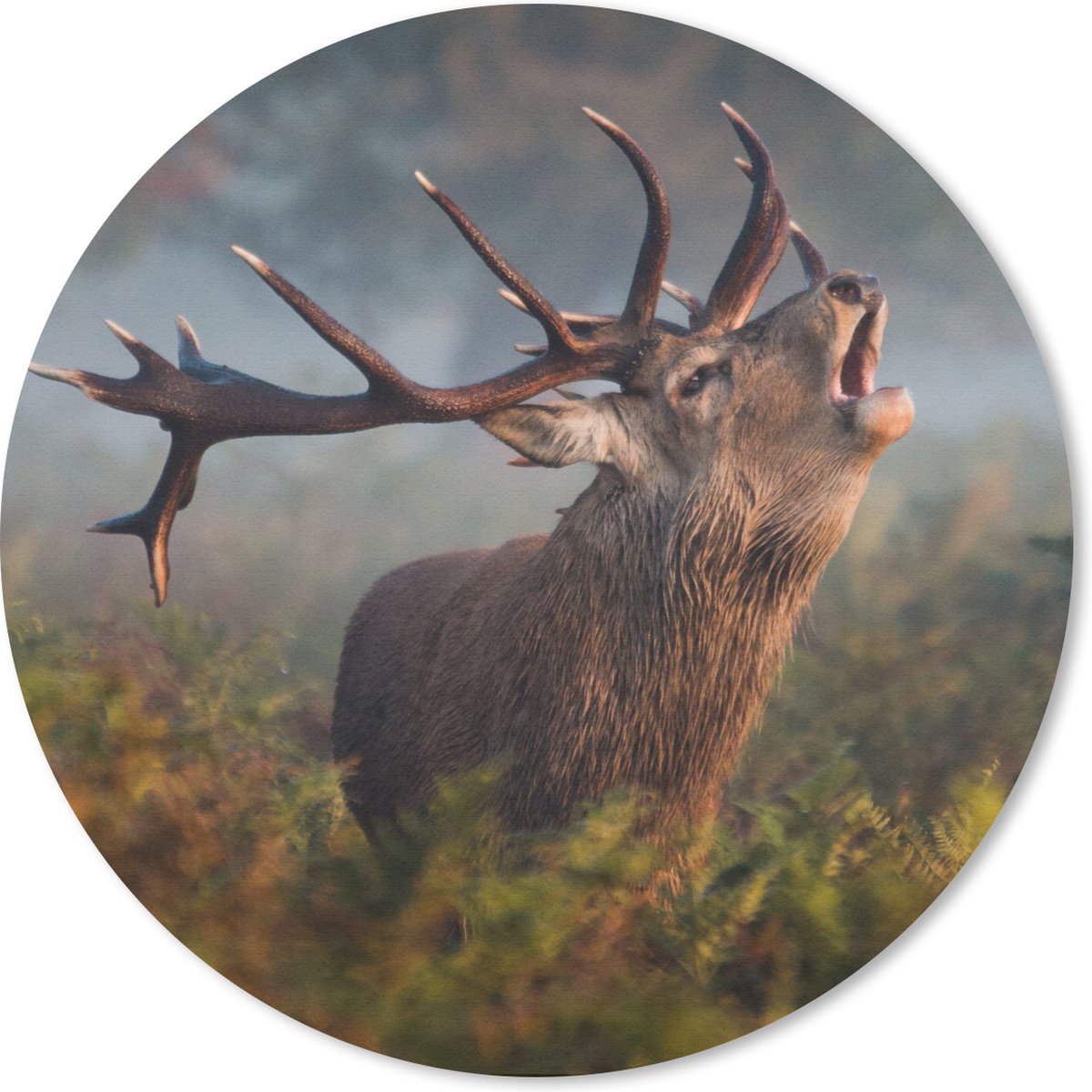 Muismat rond 50x50 cm - Mousepad Hert - Gewei - Planten - Herfst - Ronde muismatten