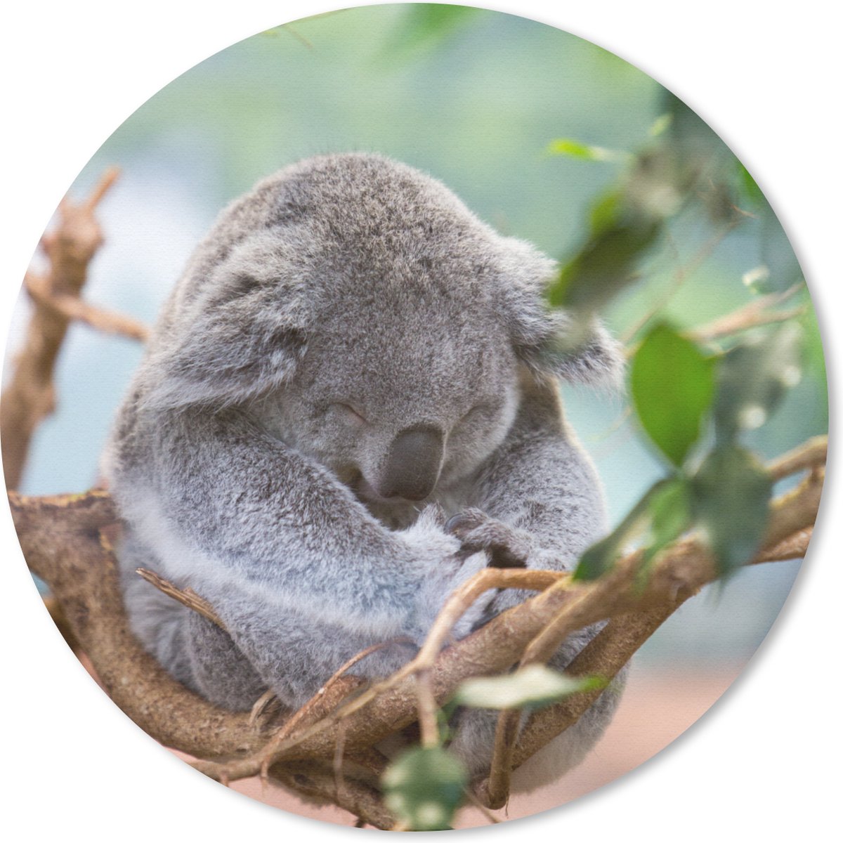 Muismat rond 30x30 cm - Mousepad Koala - Takken - Bladeren - Kinderen - Jongens - Meisjes - Ronde muismatten