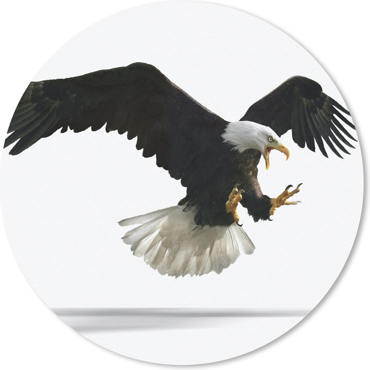 Muismat rond 50x50 cm - Mousepad Arend - Vogel - Wit - Ronde muismatten