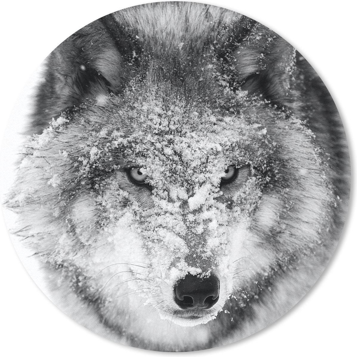 Muismat rond 30x30 cm - Mousepad Wolf met besneeuwde kop in zwart-wit - Ronde muismatten