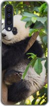 Geschikt voor Samsung Galaxy A30s hoesje - Panda - Dier - Boom - Siliconen Telefoonhoesje