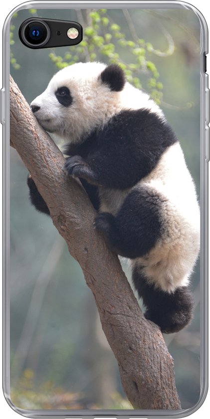Geschikt voor iPhone 7 hoesje - Panda - Dier - Boom - Siliconen Telefoonhoesje