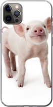Geschikt voor iPhone 12 Pro Max hoesje - Varken - Dieren - Wit - Siliconen Telefoonhoesje