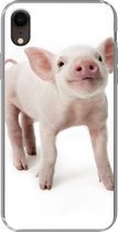Geschikt voor iPhone XR hoesje - Varken - Dieren - Wit - Siliconen Telefoonhoesje