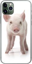 Coque iPhone 11 Pro Max - Cochon - Animaux - Wit - Siliconen