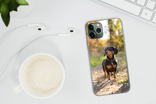 Coque iPhone 11 Pro Max - Un teckel dans la forêt - Coque en Siliconen pour téléphone