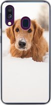 Geschikt voor Samsung Galaxy A40 hoesje - Hond - Sneeuw - Winter - Siliconen Telefoonhoesje
