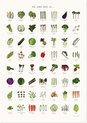 affiche de légumes