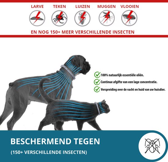 Vlooienband - beschermingsmiddel - 8 Maanden Bescherming - Alle Honden & Katten - Anti Vlooien en Teken middel - 63 cm - grijs - Merkloos
