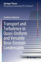 Transport and Turbulence in Quasi Uniform and Versatile Bose Einstein Condensate