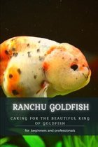 Ranchu Goldfish