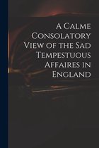 A Calme Consolatory View of the Sad Tempestuous Affaires in England