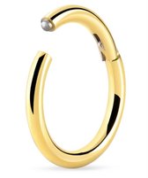 GoudkleurigeTitanium 12 mm Segment ring 1,2 met scharnier. RH-Jewelry