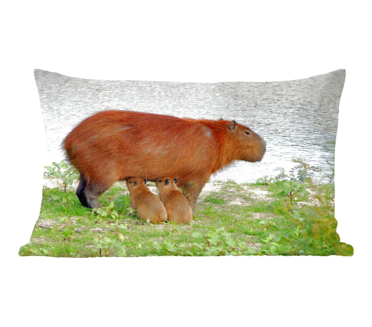 Coussin De Chaise, Coussin De Chaise Capybara, Coussin De Siège Mignon, Coussin De Siège Créatif Capybara, Oreiller En Peluche For Chaise De Bureau Et Salon,(Brown