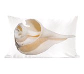 Sierkussen Coquilles pour l'intérieur - Demi coquille d'escargot de mer - 50x30 cm - Coussin intérieur rectangulaire en coton