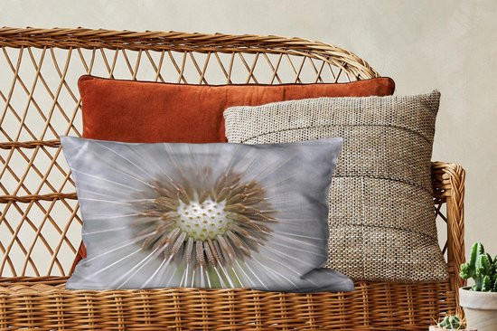 Sierkussen Graines de pissenlit pour usage intérieur - Il manque quelques graines de pissenlit - 50x30 cm - Coussin intérieur rectangulaire en coton