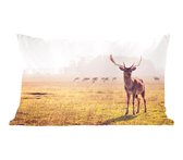 Sierkussens - Kussen - Hert met groot gewei voor kudde - 50x30 cm - Kussen van katoen