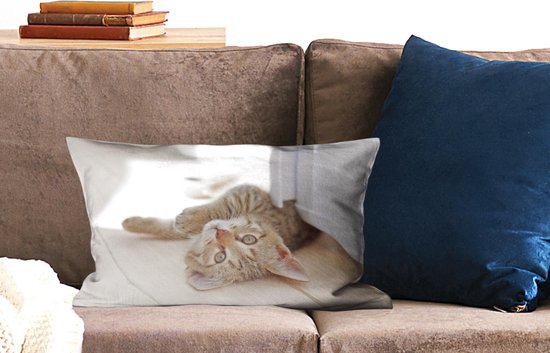 Sierkussen Chats' intérieur - Chaton jouant - 50x30 cm - Coussin intérieur rectangulaire en coton