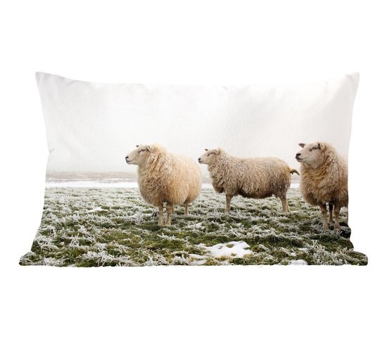 Voor type kubus boiler Sierkussens - Kussen - Drie schapen in een winterlandschap - 50x30 cm -  Kussen van katoen | bol.com