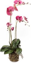 Kunstbloem Orchidee plant mos 70cm beauty