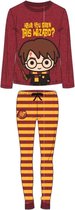 Harry Potter "Hogwarts" Have You Seen This Wizard in Training pyjama kids 14 Jaar