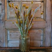 Bloom Depot - droogbloemen - Geel/Bruin - 55 cm - boeket