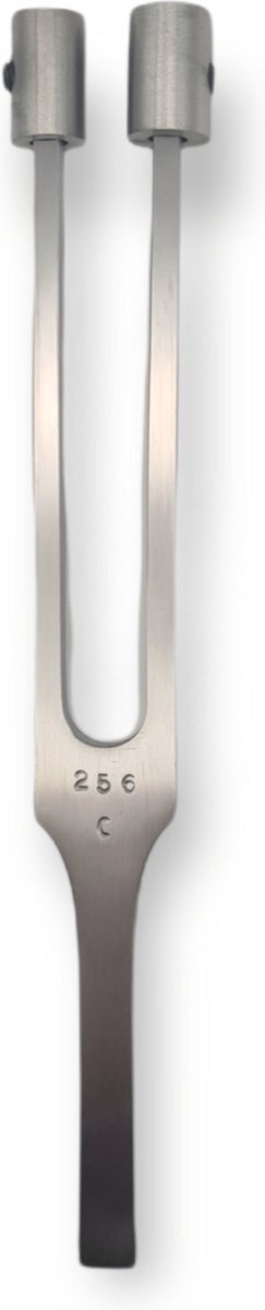 Stemvork RVS 256Hz - neurologie - geneeskunde