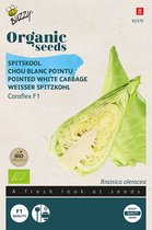 Buzzy® Organic Spitskool Caraflex F1 (BIO) - biologisch groentezaad