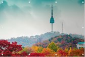 De Namsan Seoul Tower achter een herfstdecor in Korea - Foto op Tuinposter - 90 x 60 cm
