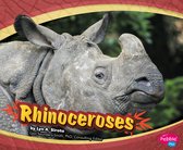 Asian Animals - Rhinoceroses