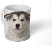 Mok - Husky puppy op witte achtergrond - 350 ML - Beker