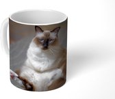 Mok - Koffiemok - Poes - Vacht - Bruin - Mokken - 350 ML - Beker - Koffiemokken - Theemok