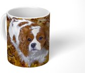 Mok - Cavalier King Charles-spaniël onder de herfstbladeren - 350 ML - Beker