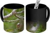 Magische Mok - Foto op Warmte Mokken - Koffiemok - Een luiaard hangt aan de takken in de boom - Magic Mok - Beker - 350 ML - Theemok