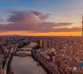 Kleurrijke scene van de skyline van Tokio bij zonsopkomst - Fotobehang (in banen) - 250 x 260 cm