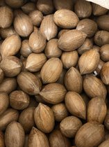 Pecannoten in dop - de lekkerste en gezondste Pecannoten - papegaai - natuurlijk noten - Biologisch - 25 KG