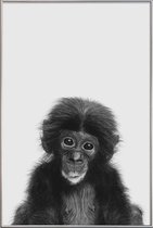 JUNIQE - Poster met kunststof lijst Bonobo Classic -40x60 /Wit & Zwart