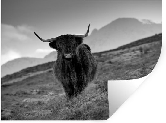 Muurstickers - Sticker Folie - Een Schotse hooglander op het eiland Skye - zwart wit - 160x120 cm - Plakfolie - Muurstickers Kinderkamer - Zelfklevend Behang XXL - Zelfklevend behangpapier - Stickerfolie