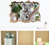 3d Muursticker Koala Beer | 63 x 46 cm | Wanddecoratie | Dieren | Muurdecoratie | Slaapkamer | Kinderkamer | Babykamer | Meisje | Jongen | Decoratie Sticker