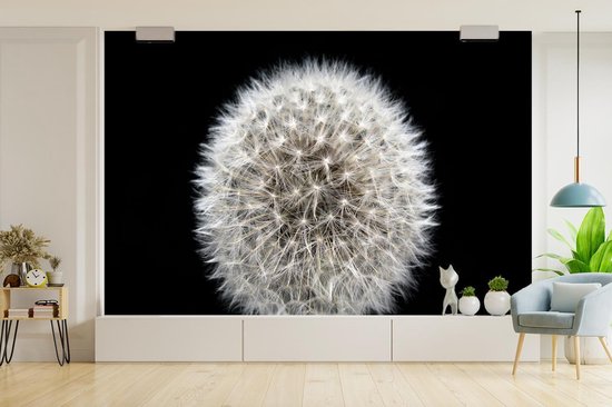 Papier peint photo peint vinyle - Un pissenlit sur fond noir largeur 525 cm x hauteur 350 cm - Tirage photo sur papier peint (disponible en 7 tailles)
