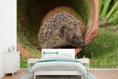 Papier peint photo peint photo vinyle - Hérisson dans un pot largeur 600 cm x hauteur 400 cm - Tirage photo sur papier peint (disponible en 7 tailles)